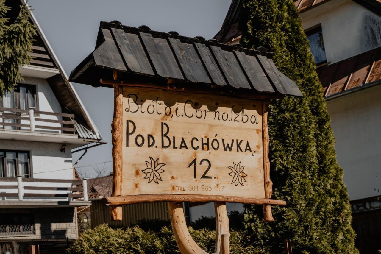 Biolo i Corno Izba Domki Góralskie Kościelisko Exterior foto